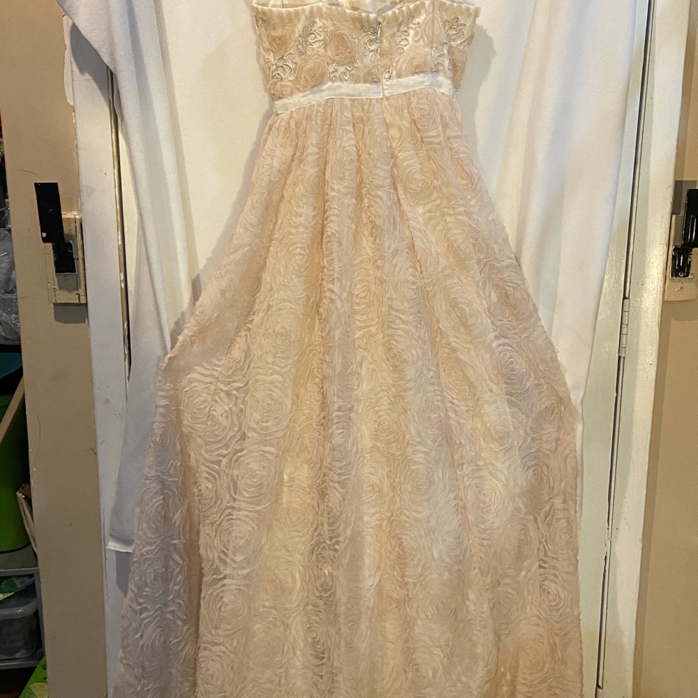 Strapless ball gown Adrianna Papell collection